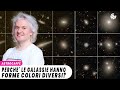 PerchÃ© le GALASSIE hanno FORME e COLORI diversi?