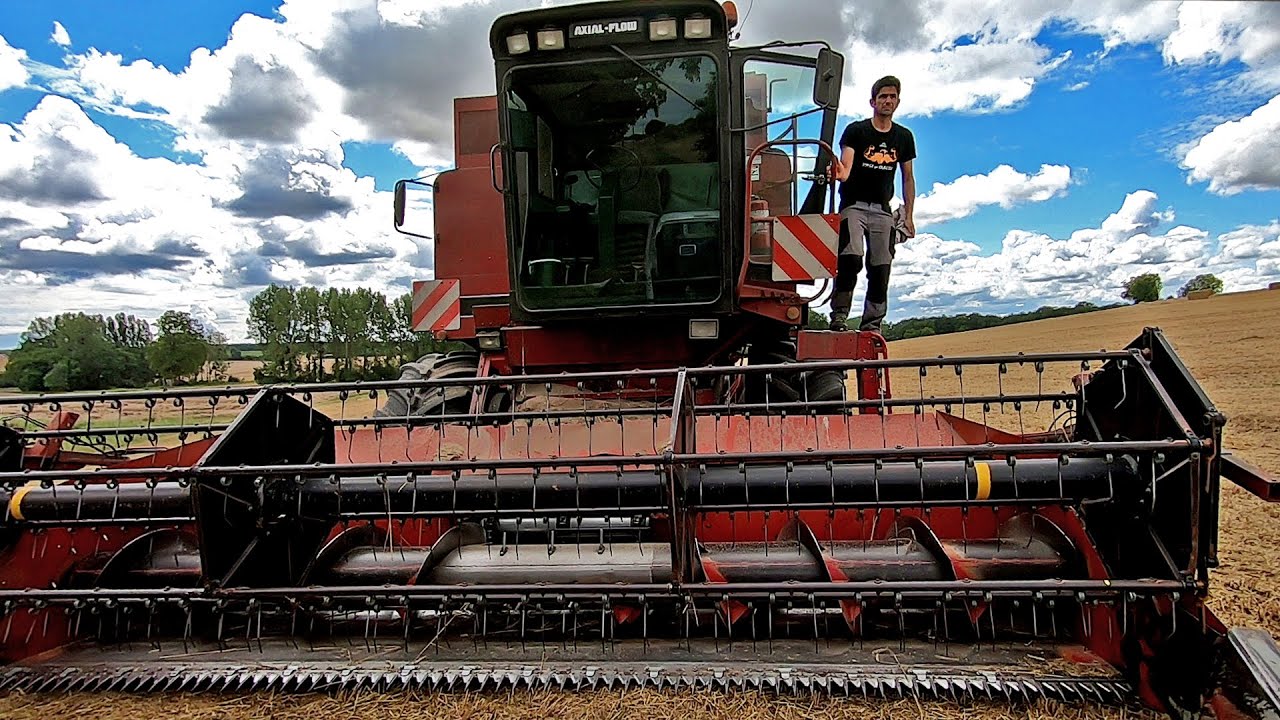 Cette fameuse moisson des blés 2021