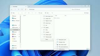 Exclusive Windows 11 - How to View Hidden Files and Folders Profile