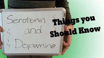 Serotonin, Dopamine and your Brain