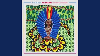 Hanu Txana Tuin Kuin