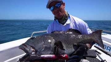 IFISH Season 15 Episode 17