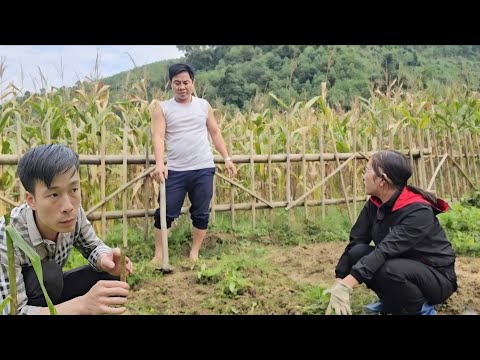 SOM Told SONG That She Didn T Want To See HUU Again But There Was No Way To End This