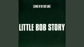 Miniatura de vídeo de "Little Bob Story - Delices of My Youth"