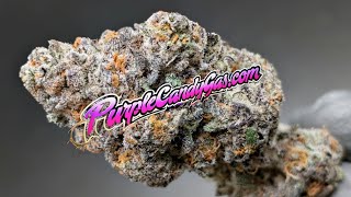 Thca  Baja Blasteroid Purple Candy Gas 