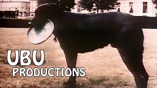 UBU Productions in HD