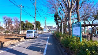 TOKYO Heiwadai Walk  Japan 4K HDR