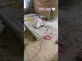 A day in my life #viral #instagram #shorts