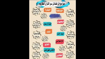 فضائل سور القرآن الكريم❤#معلومات_دينيه