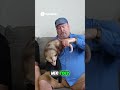 Meet Tootsie  The Dog With One Toe &amp; A Hero's Story#shorts