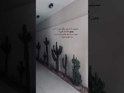 حرف حق حق متن خاص متن گرافی متن حرف دل ويديو فيلم حسادت حس خوب