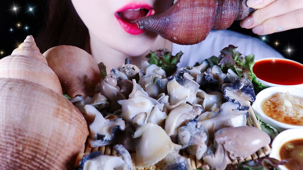 ASMR GIANT TURBAN SHELL 참소라 숙회 ASMR NO TALKING EATING SOUNDS MUKBANG ...