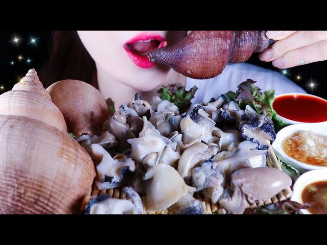 ASMR GIANT TURBAN SHELL 참소라 숙회 ASMR NO TALKING EATING SOUNDS MUKBANG
