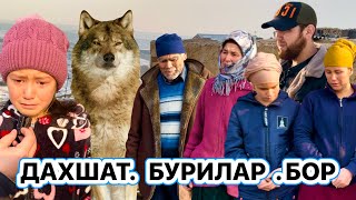 картинка: ДАХШАТ БУРИЛАР БИЛАН БИРГА ЯШАЙДИГАН ОЙЛА КУРКИНЧЛИ УЗИМ БОРДИМ КУРДИМ