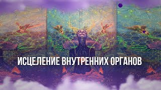 Медитация на исцеление внутренних органов | Daryna Angerova