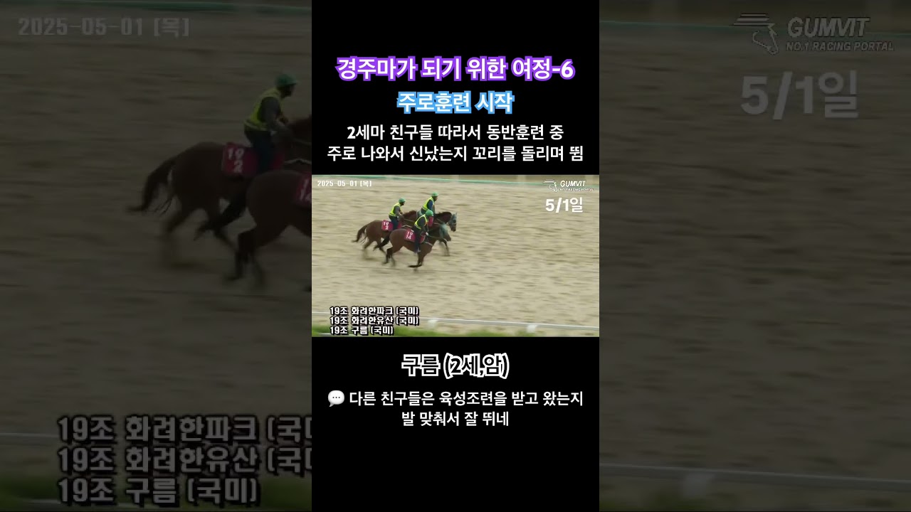 주로에 처음 나온게 신난 망아지, 꼬리뱅뱅 #경주마구름