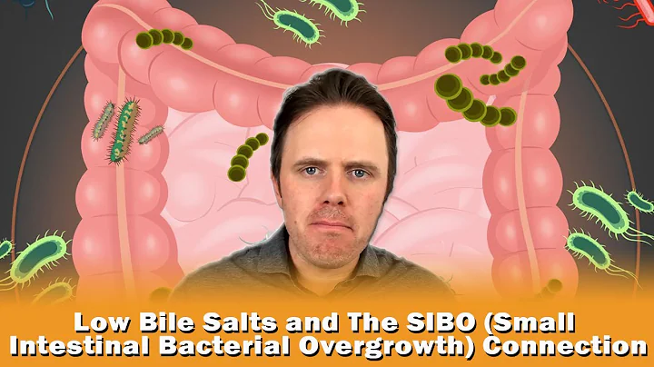 Low Bile Salts and The SIBO (Small Intestinal Bacterial Overgrowth) Connection