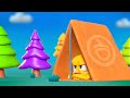 Forest camping | Where&#39;s Chicky? | Best Cartoon Collection in English for Kids | New episodes