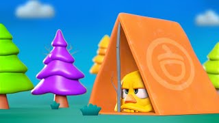 Forest Camping | Where's Chicky? | Best Cartoon Collection In English For Kids | New Episodes