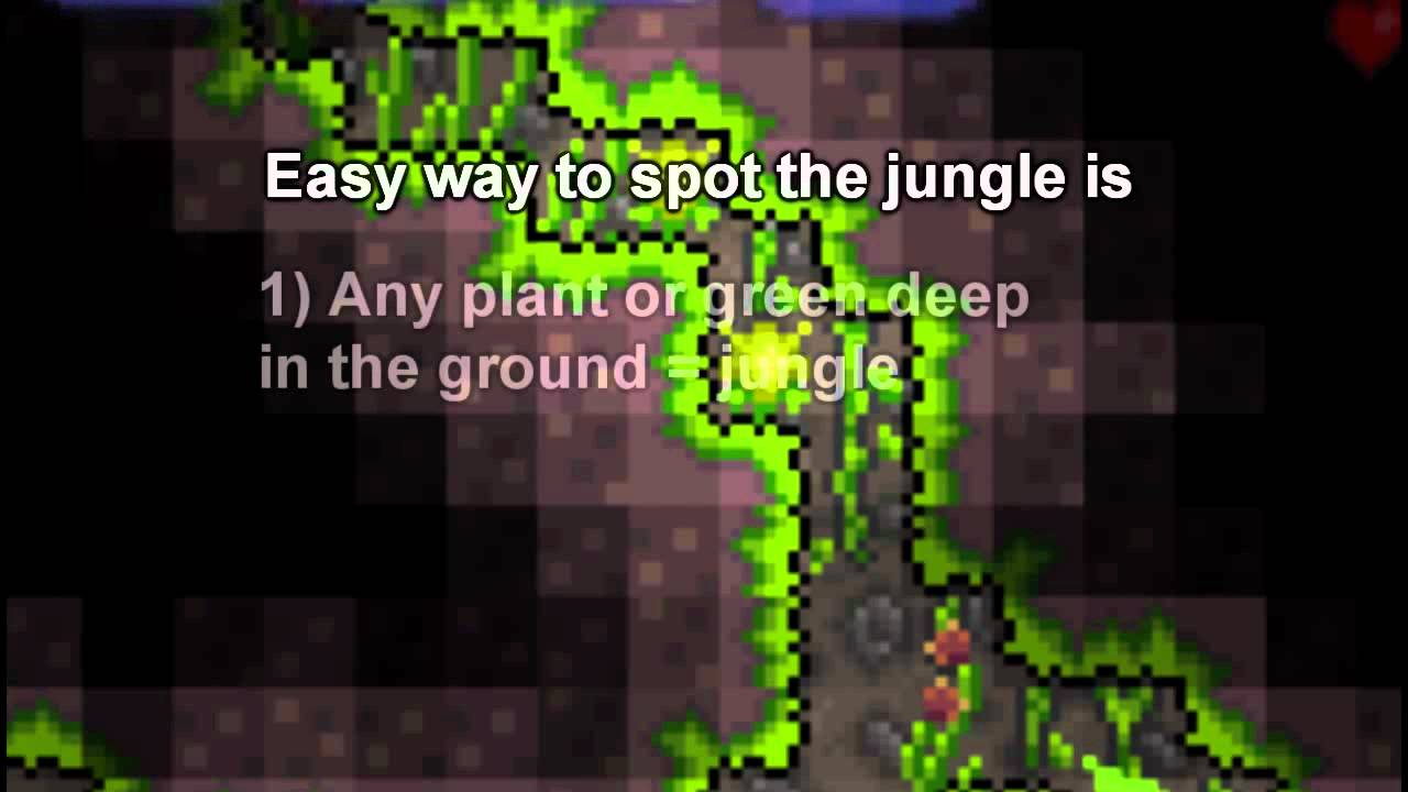 Terraria Secret 3 - Finding The Underground Jungle - Youtube