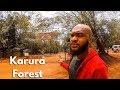 Nairobi Kenya. What's Inside this Forest?