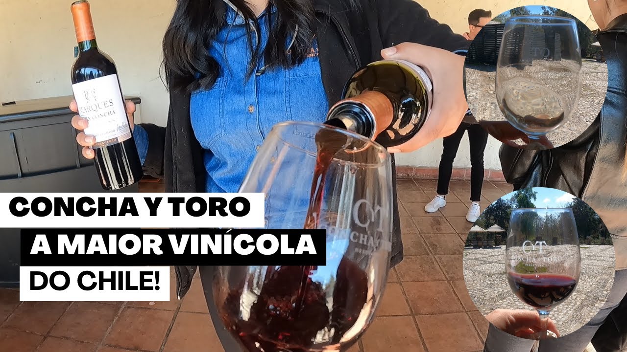 Conhecendo a MAIOR VINÍCOLA do CHILE! | Tour Concha y Toro