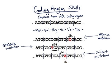 Nonsense - Tales from the Genome