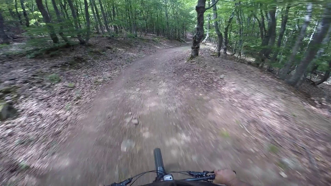 20 06 28 T6 EL ROBLON