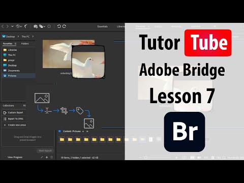 Adobe Bridge - Lesson 7 - Creating a Custom Workspace