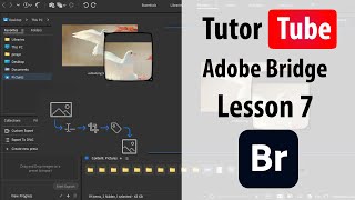Adobe Bridge - Lesson 7 - Creating a Custom Workspace