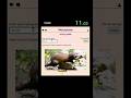 Animal 996 Speedrun #metazooa #phylogeny #taxonomy #animal #animals #biodiversity #zoology #speedrun