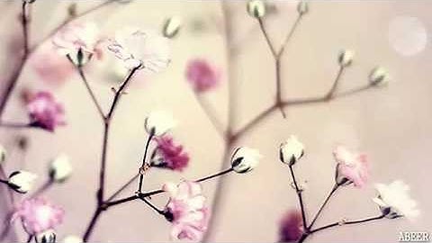 Sourate El Hadid :Cheikh Soudais سورة الحديد :الشيخ السديس