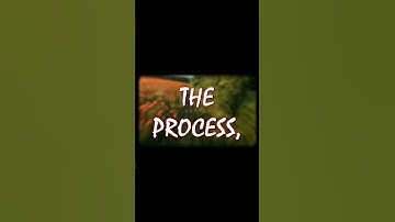 Why the Little Details Make a Big Difference in Video Editing #shorts #videoediting #igreels