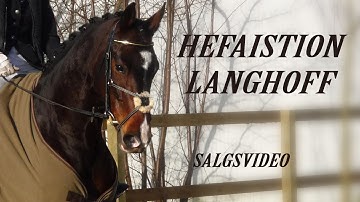 Hefaistion Langhoff | Salgsvideo