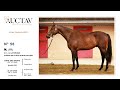 Auctav 20220831 m 2020  saint des saints x alta cruz  poliglote    haras du bois carrouges