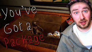 This Package Ruined my Life || Youve got a package