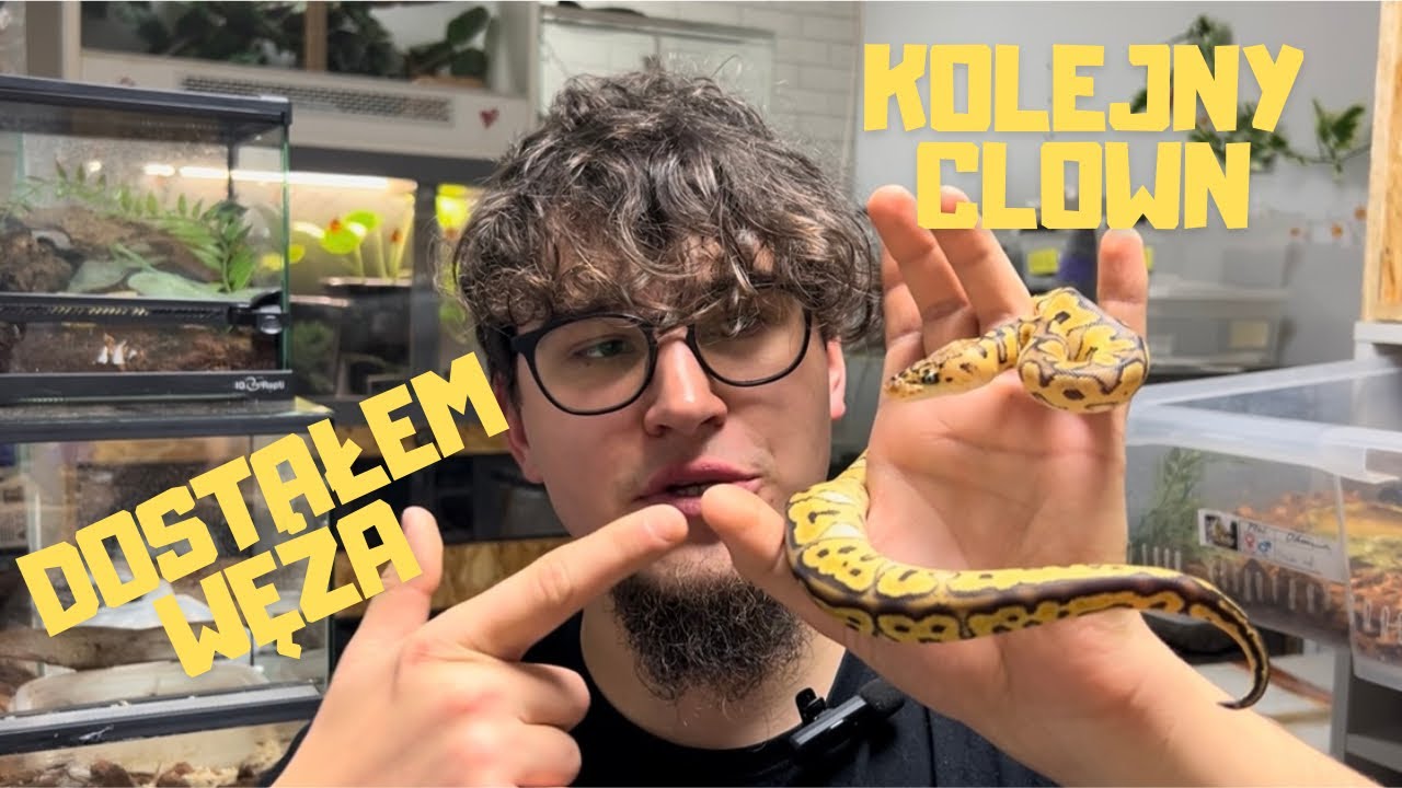 ‼️JAK PRZYGOTOWAĆ ZBIORNIK DLA WĘŻA🤔❓