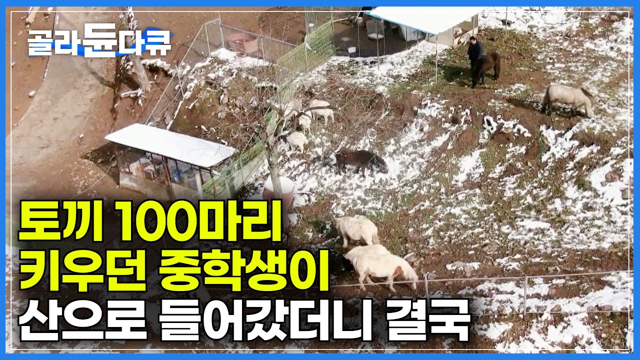 동물 좋아한다길래 강아지 한두 마리 키울 줄 알았다. 30년 도시생활 접고 산에 가더니｜전기세 주민세도 따로 낸다. 60대 부부가 이혼 대신 독립을 택한 이유｜한국기행｜#골라듄다큐