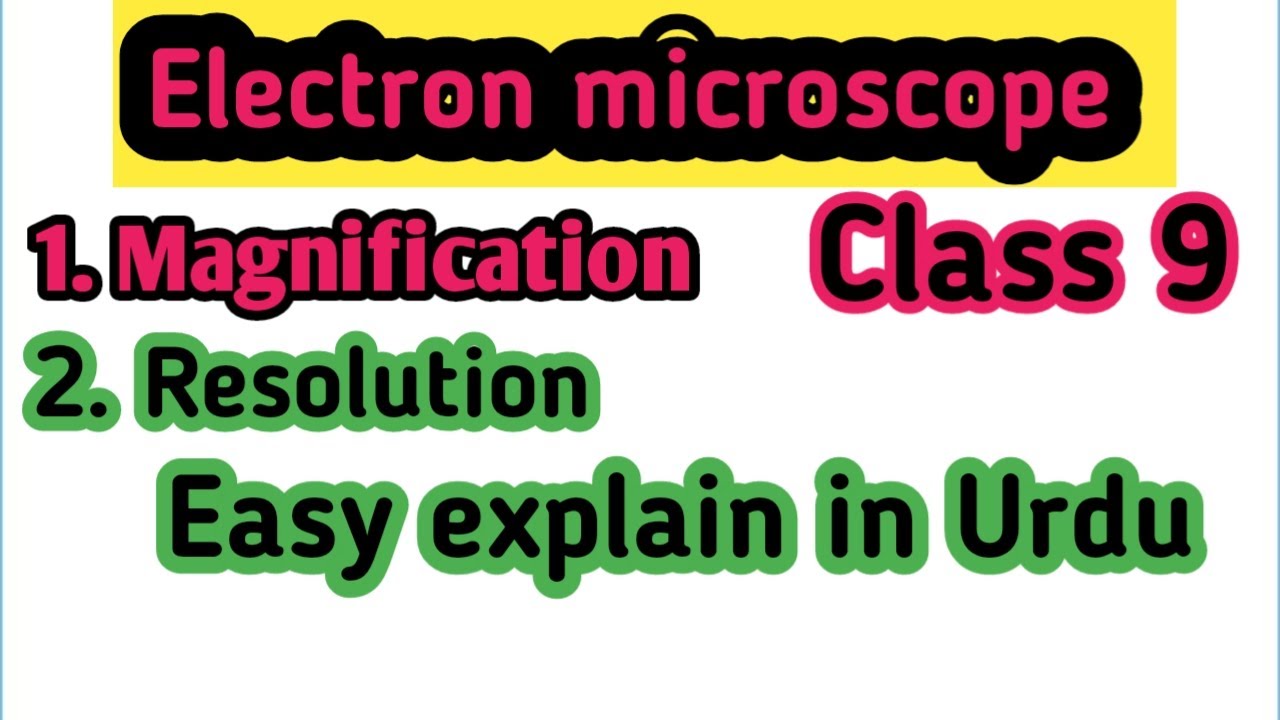 Electron microscope electron microscope class 9 electron