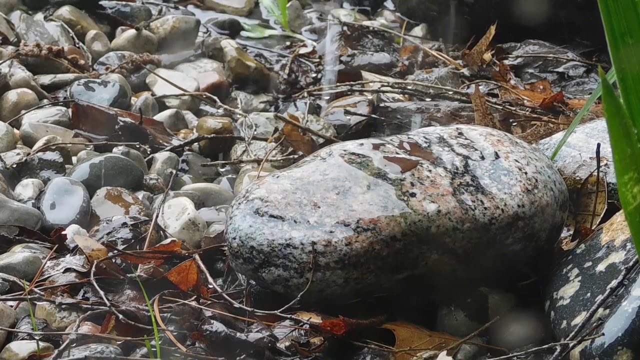 Rain on Rocks for a Minute YouTube