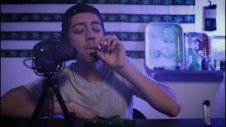 UPDATE | SMOKING A KING PALM | WEED ASMR screenshot 5