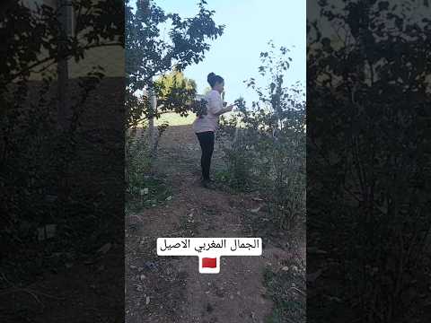 الجمال المغربي الاصيل اجمل اغنيه أطلسية