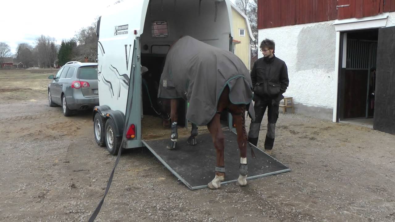 Hur vi lastar svåra hästar: elfstrands.se