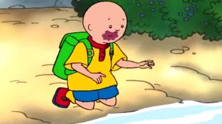 Messy Caillou | Caillou Cartoon