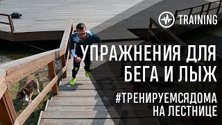 Бег по лестнице. Как прокачать бег в гору в городских условиях?!