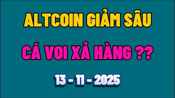Phân Tích Xu Hướng Bitcoin Hôm Nay & Cập Nhật Thị Trường Crypto Ngày 13/11/2025 -Blockchain Việt Nam
