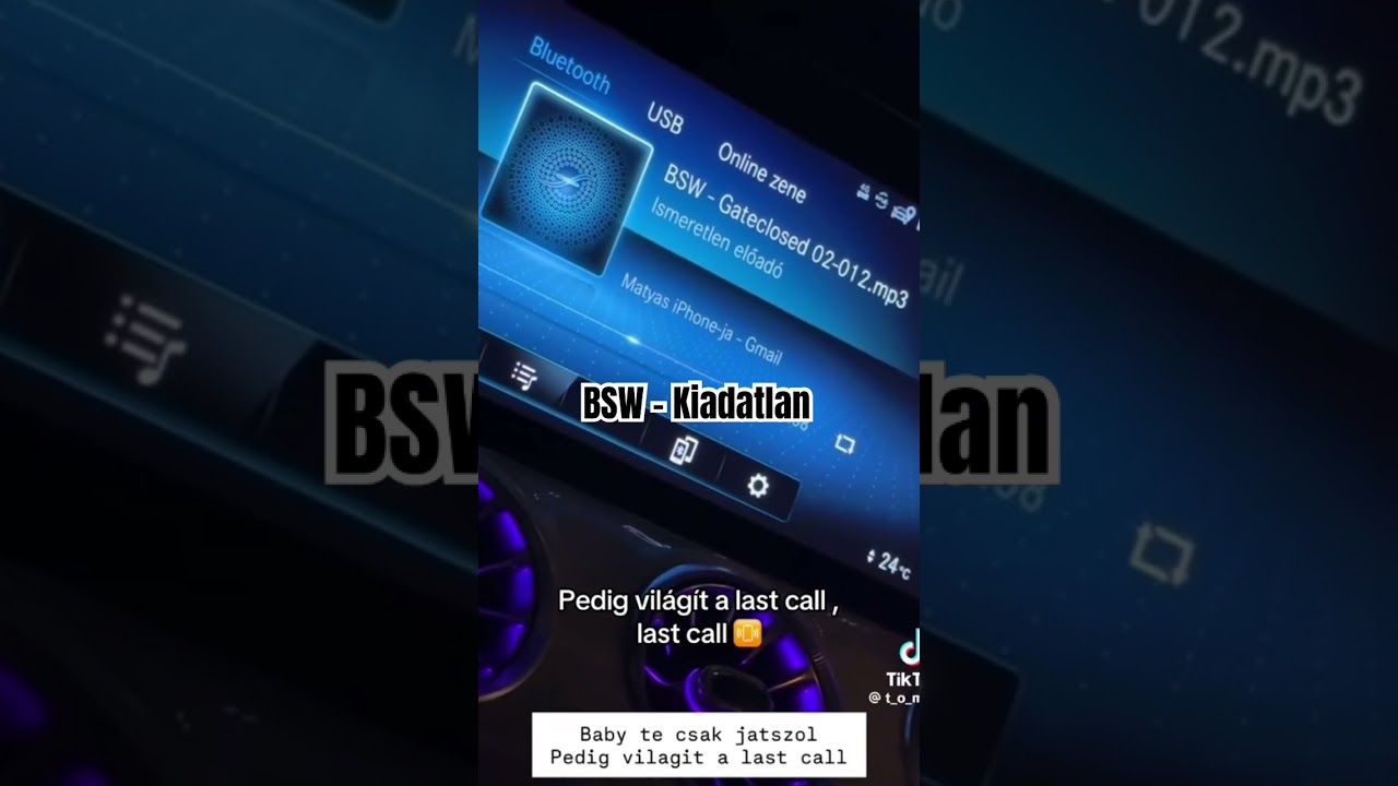 BSW - Kiadatlan #hungarian #music #hungary #magyarig #foryou #rap #nekedbelegyen #bsw