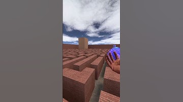 YOU CAN RUN BUT YOU CAN