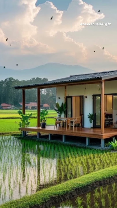 Inspirasi rumah panggung kayu minimalis tengah sawah #home #inspirasidesainrumah
