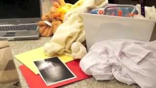 Stay, Play and Walk Away Activities for Children - The Pet Vet